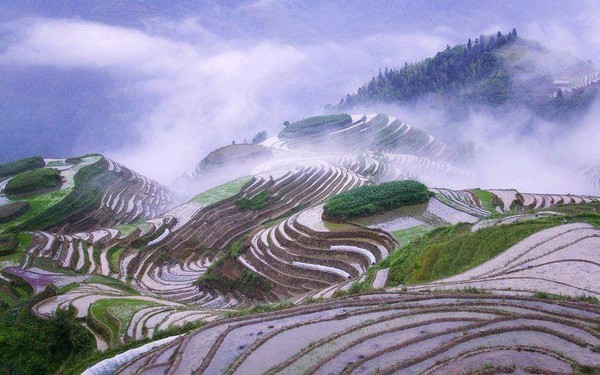 Paysages de rizières en terrasses  ...  en Chine !