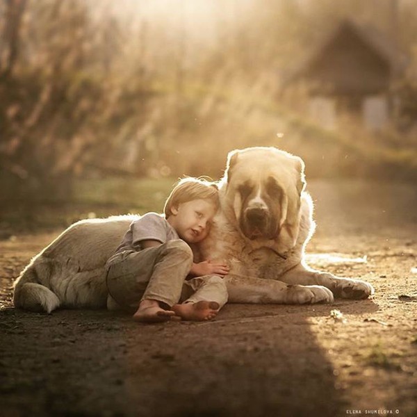 Elena Shumilova   ...    Photographies d'Art !