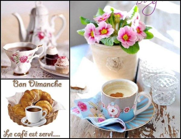 Bon dimanche mes ami(e)s   ...   au gré de vos envies !