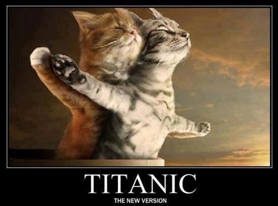 Chats alors  ...  la nouvelle version du Titanic !