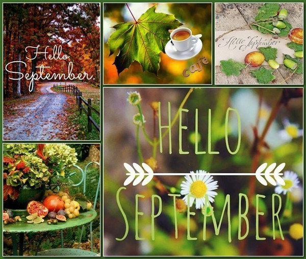 Bonjour Septembre    ...   qui accueille l'automne !