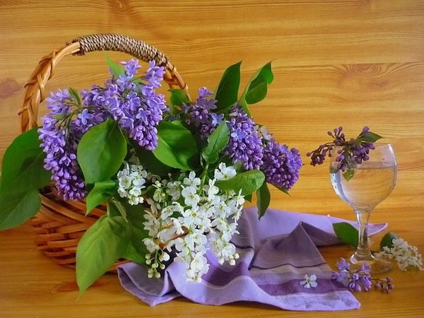 Voici quelques fleurs pour agrémenter votre journée !