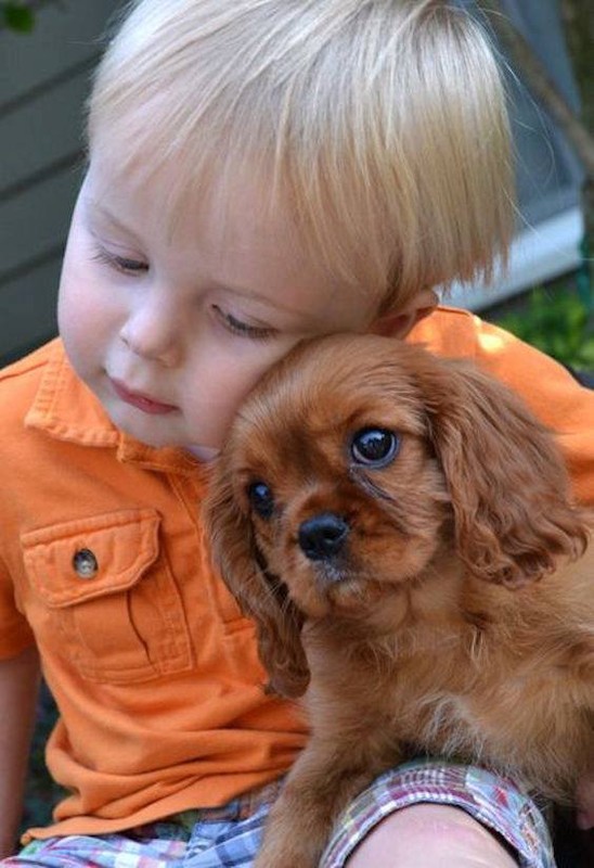 Parenthèse tendresse ...