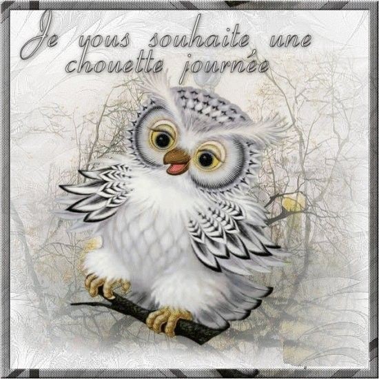 Chouette journée les p'tts bouts   ...  amusez-vous !