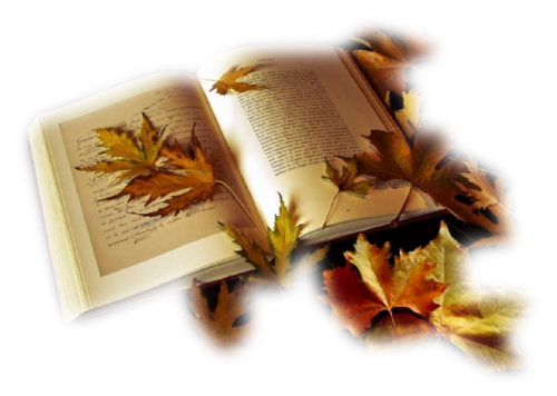 Bon dimanche d'automne ... balade ou lecture ?!!