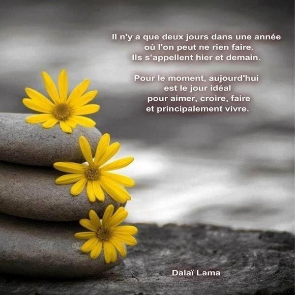 Citations du Dalaï Lama    ...