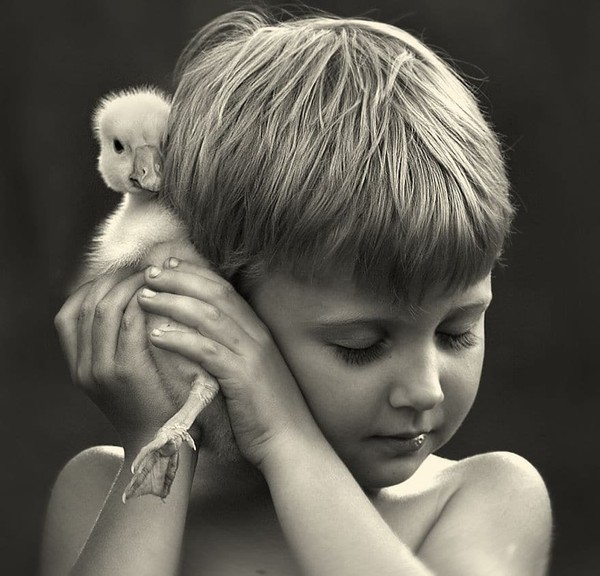 Elena Shumilova    ...   photos d'art  !