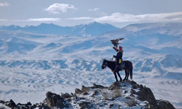 Cavalier avec un aigle dans les montagnes de Mongolie ...