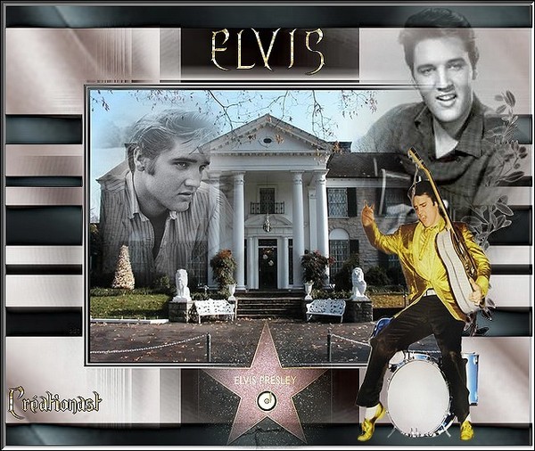 Elvis for Ever  ...  Chez   Sandy  !