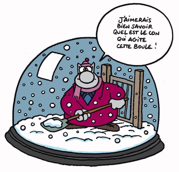 Un peu d'humour avec   ...    Philippe Geluck !