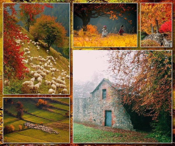 Couleurs d'automne ...