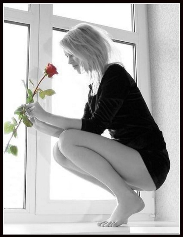 Cette rose pour vous qui passez sur mon blog  ...