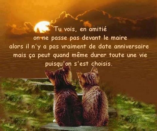 Citations en images ... sans autre commentaire !