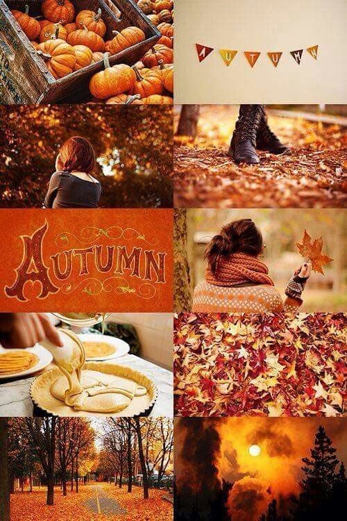 Un automne de toutes les couleurs !