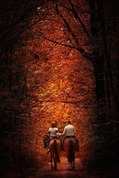 L'Automne      ...    La saison romantique  !