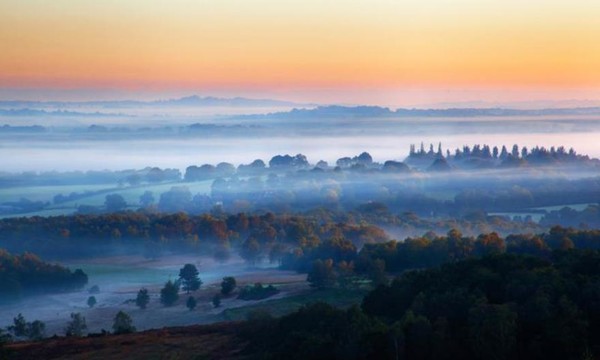 Une forêt avec des histoires à raconter  ...