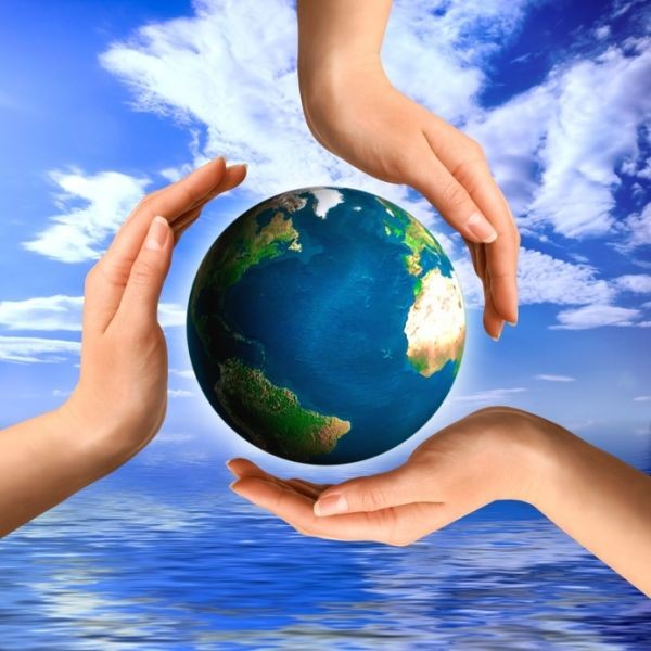 Journée mondiale de  ...  l'environnement le 5 juin !