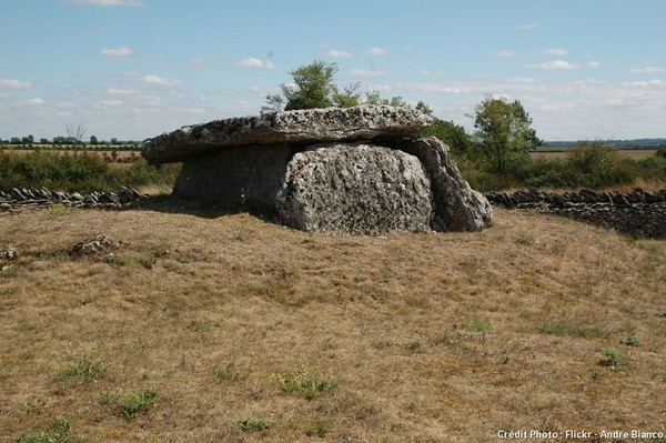 Le tumulus de Bougon   ...  Site Néolithique !