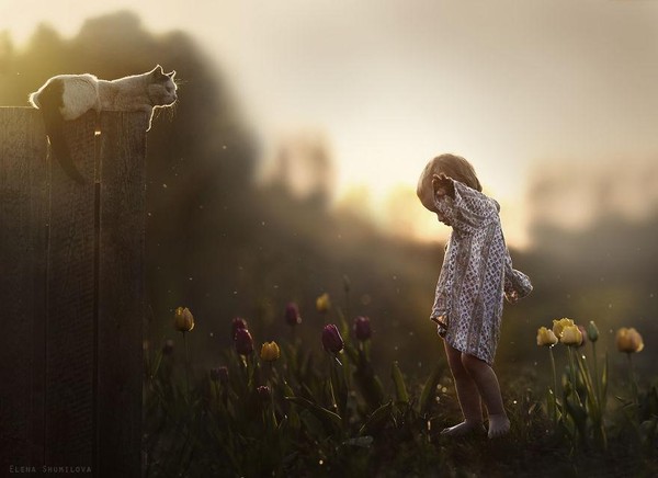 Elena Shumilova   ...   photos d'art !