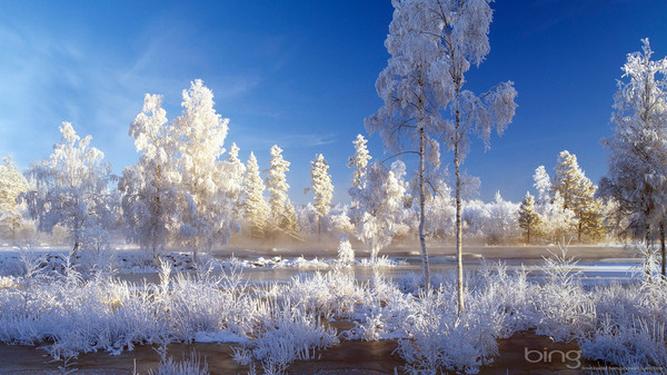 Finlande   ...   Paysage d'hiver près de Kuhmo !