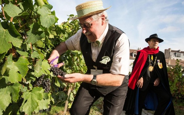 La Fête des Vendanges à Montmartre : 11 au 15 octobre !