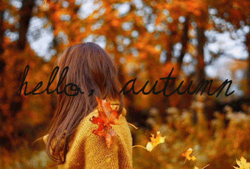 L'automne ... une palette de couleurs chatoyantes !