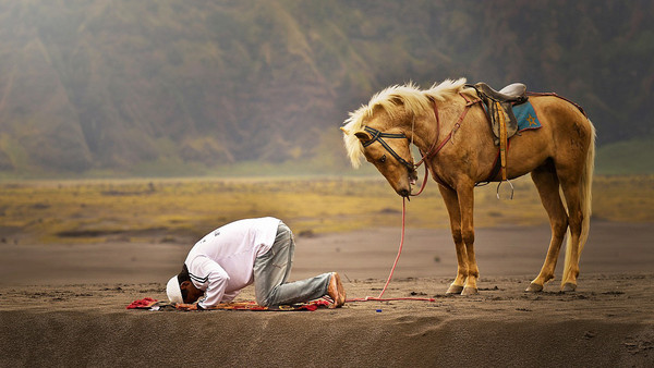 Chacun a droit au respect ... c'est mon humble avis !