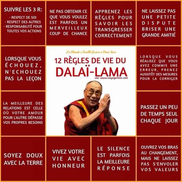 Les douze règles de vie du Dalaï Lama  ...