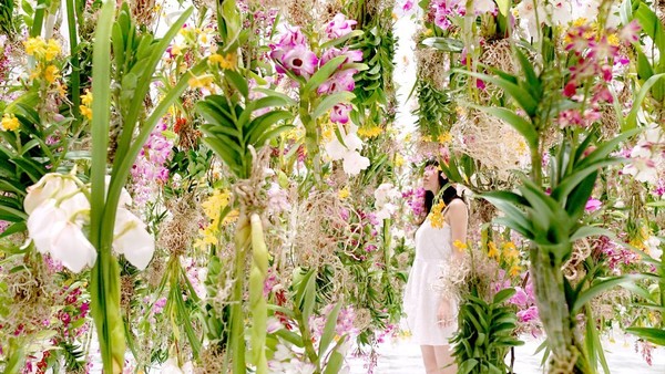 Art japonais "TeamLab" :  installation flottante de fleurs !