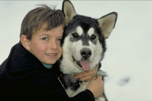 Une Histoire émouvante ... L' Enfant  et le Chien !