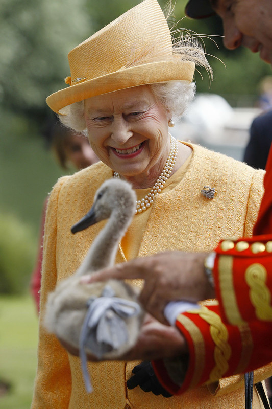 8 faits qui rendent la reine Elizabeth II exceptionnelle !