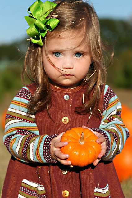 Le temps des citrouilles    ...