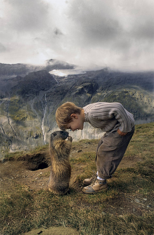 Le petit garçon et les marmottes    ...