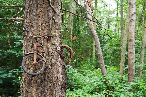 Vélo dans un arbre  ...  Clin d'oeil au Tour de France !