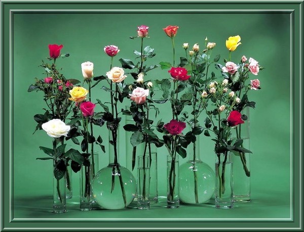 Ces fleurs sont pour toi  ...  toi, et toi aussi  !
