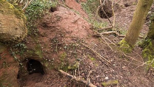 Angleterre  : Découverte "Caverne des Templiers" ...