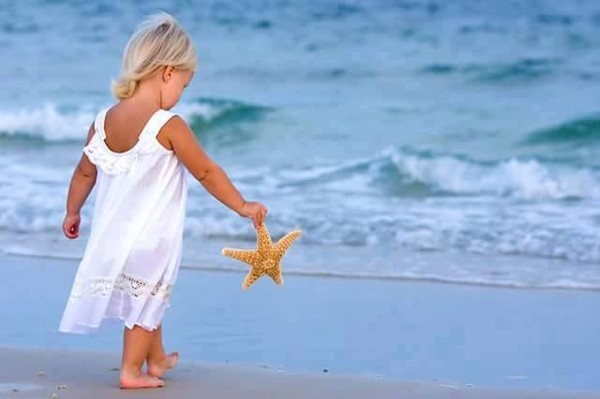 Bon dimanche   ...   peut-être à la plage si vous pouvez !