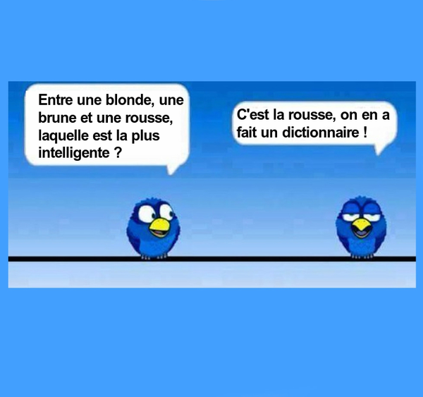 Les "Birds"     ...    pour vous si vous aimez !