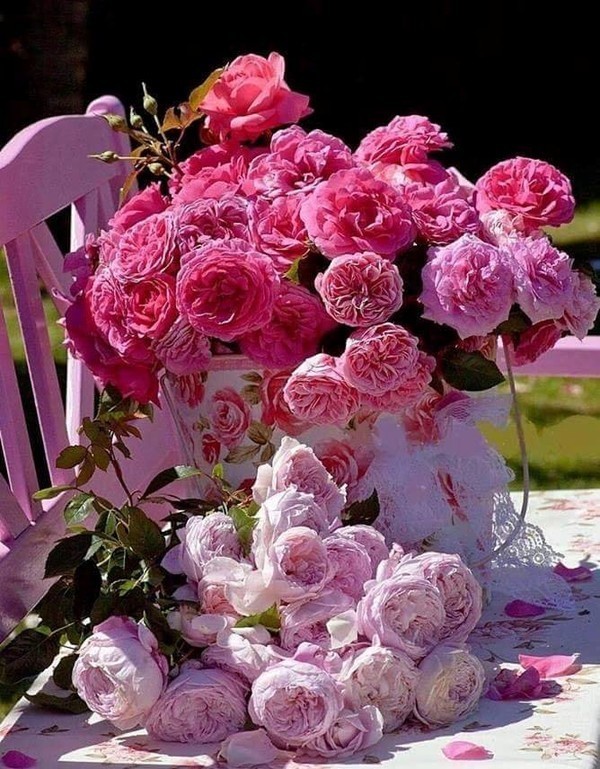 De jolies roses pour toi ... toi ... et toi aussi !