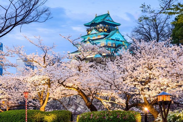 Château d'Osaka ... un des plus célèbres du Japon ! 