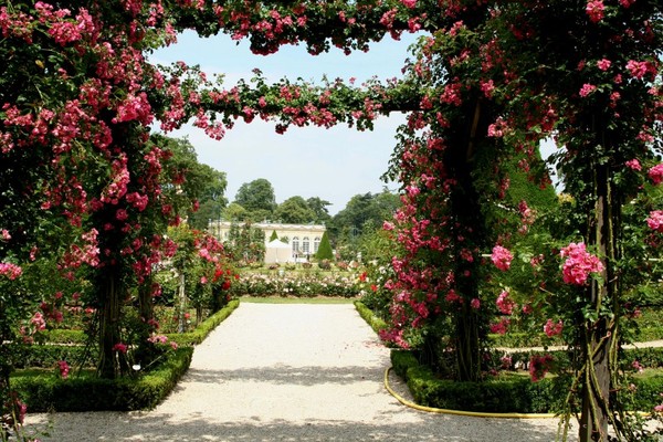 Le parc de Bagatelle : Jardin le plus Romantique de Paris !