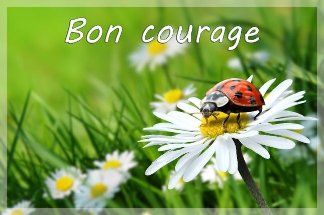 Bon Courage Ceux Qui Reprennent Le Travail 